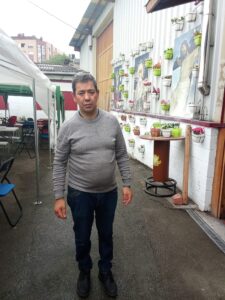 Cañita